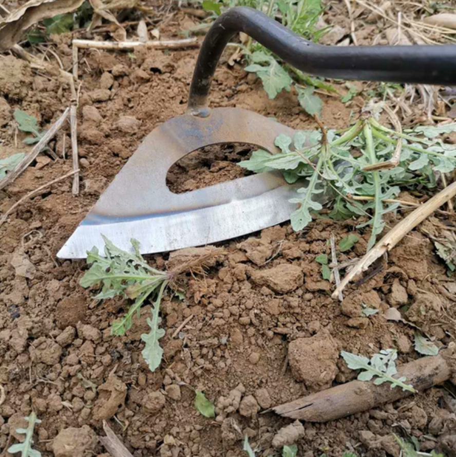All Steel Hollow Hoe – Garden Weeding & Planting Tool