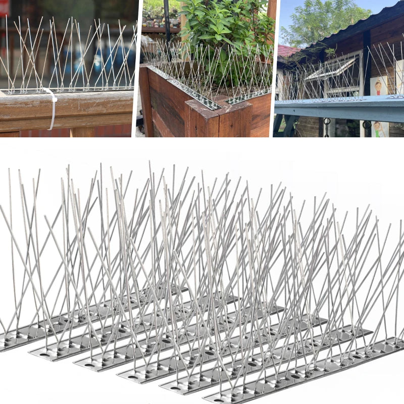 Stainless Steel Bird Spikes – Humane Pigeon Deterrent