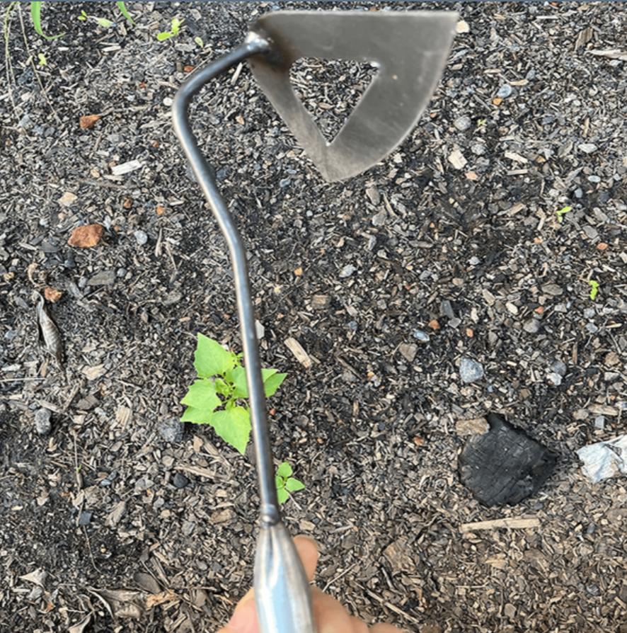 All Steel Hollow Hoe – Garden Weeding & Planting Tool