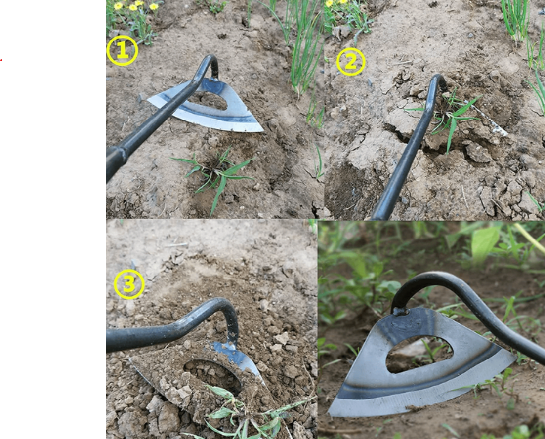 All Steel Hollow Hoe – Garden Weeding & Planting Tool