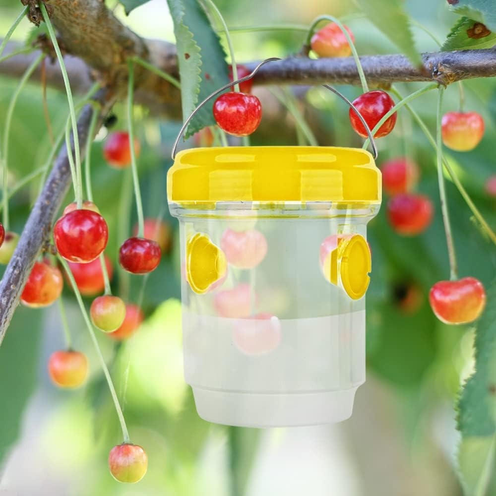 Fruit Fly Trap – Indoor & Outdoor Insect Catcher