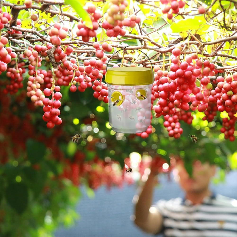 Fruit Fly Trap – Indoor & Outdoor Insect Catcher