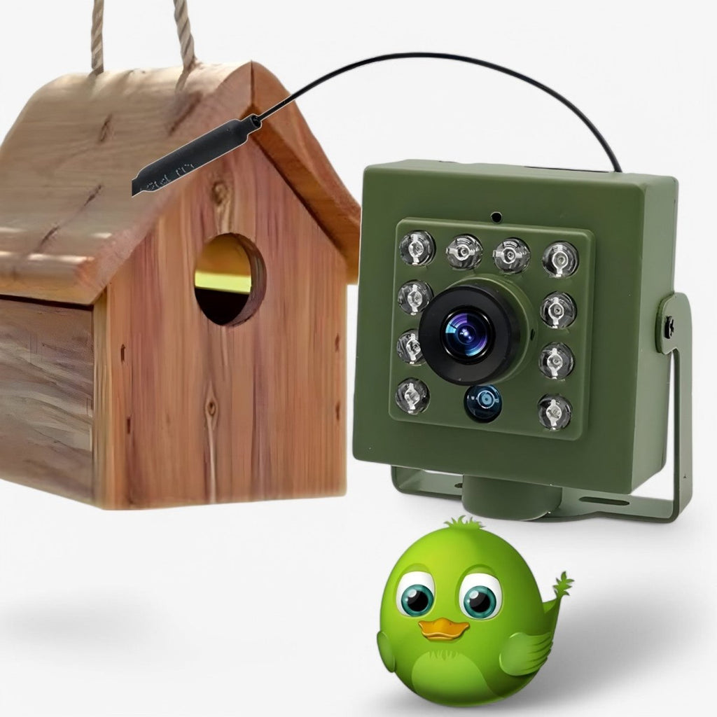 1080p Wildlife Camera – IP66 Night Vision Bird Cam