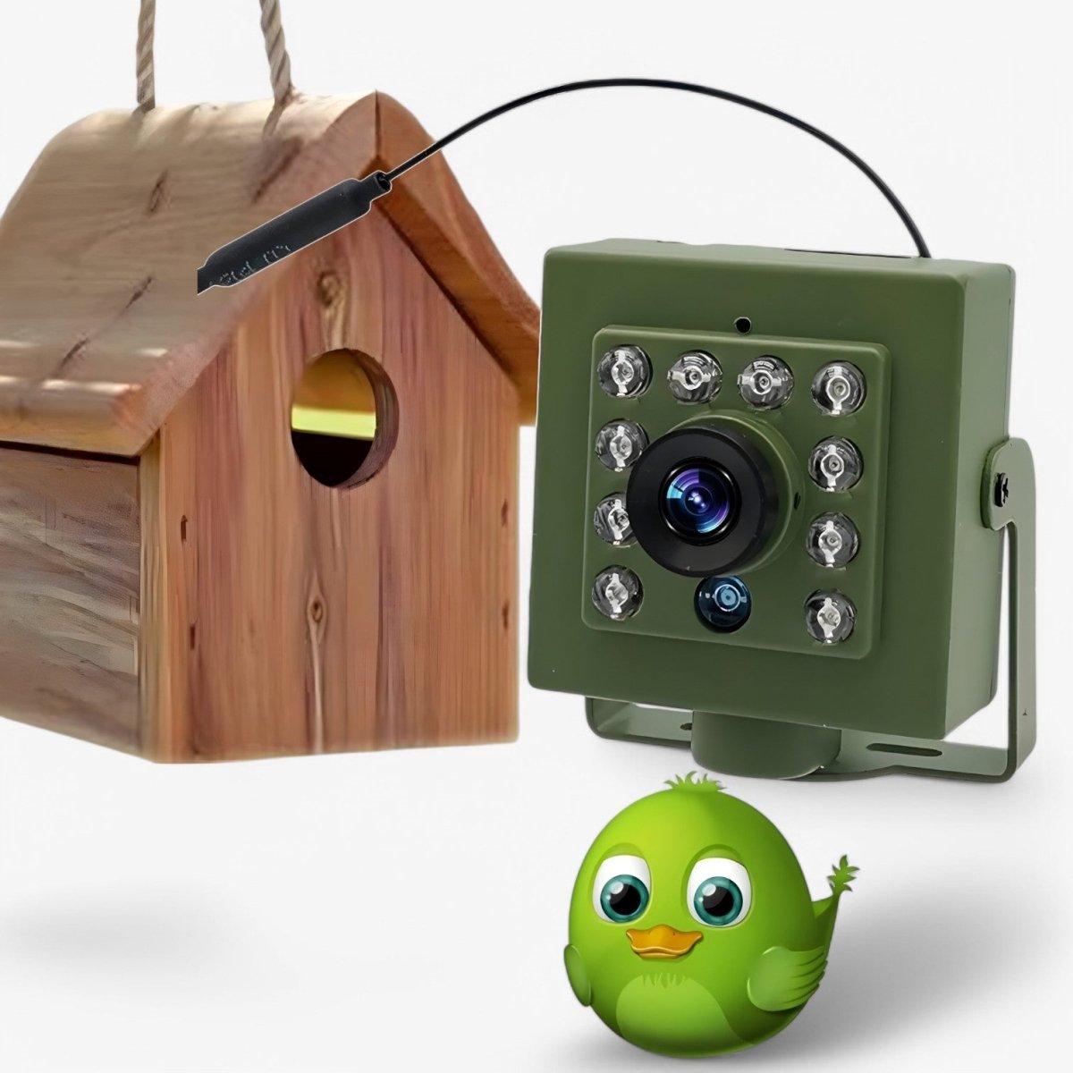 1080p Wildlife Camera – IP66 Night Vision Bird Cam
