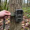Trail camera being strapped to a tree in woodland
