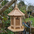 Wooden bird feeder hanging from a tree branch with a blue tit