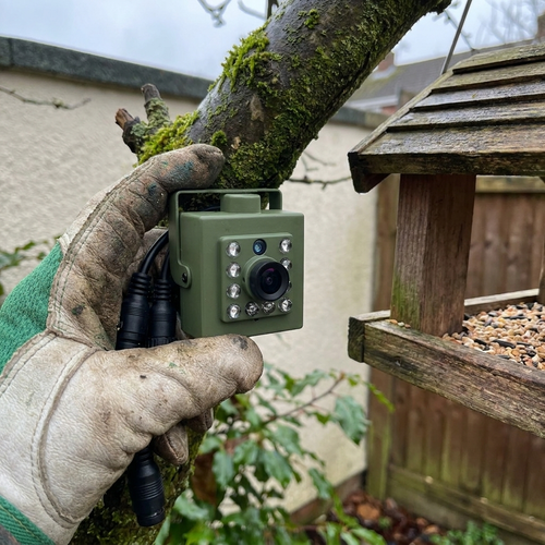 Wildlife bird camera being mounted in a garden tree