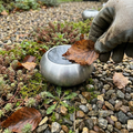 Solar pebble light resting among gravel in a garden border