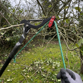 High reach pruning shears cutting a tree branch