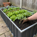Raised garden bed planted with vegetables on a patio
