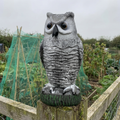 Realistic owl decoy perched on a fence post by a vegetable patch