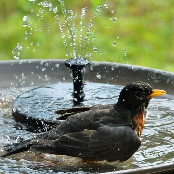 Solar Water Fountain – Birdbath Pump, 4 Spray Styles